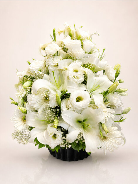 Beyaz Aranjman