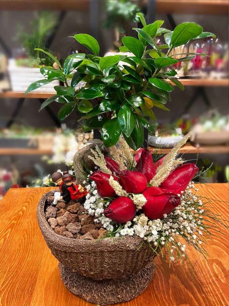 Seramikte Bonsai