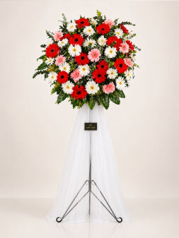 36 Adet Renkli Gerbera Ferforje